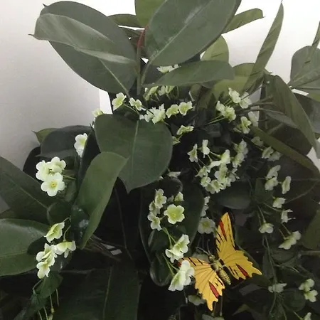 Dom wakacyjny Chez Philomene *